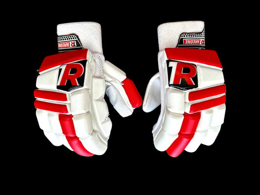 AREONE PLAYER EDITION CRICKET GLOVES