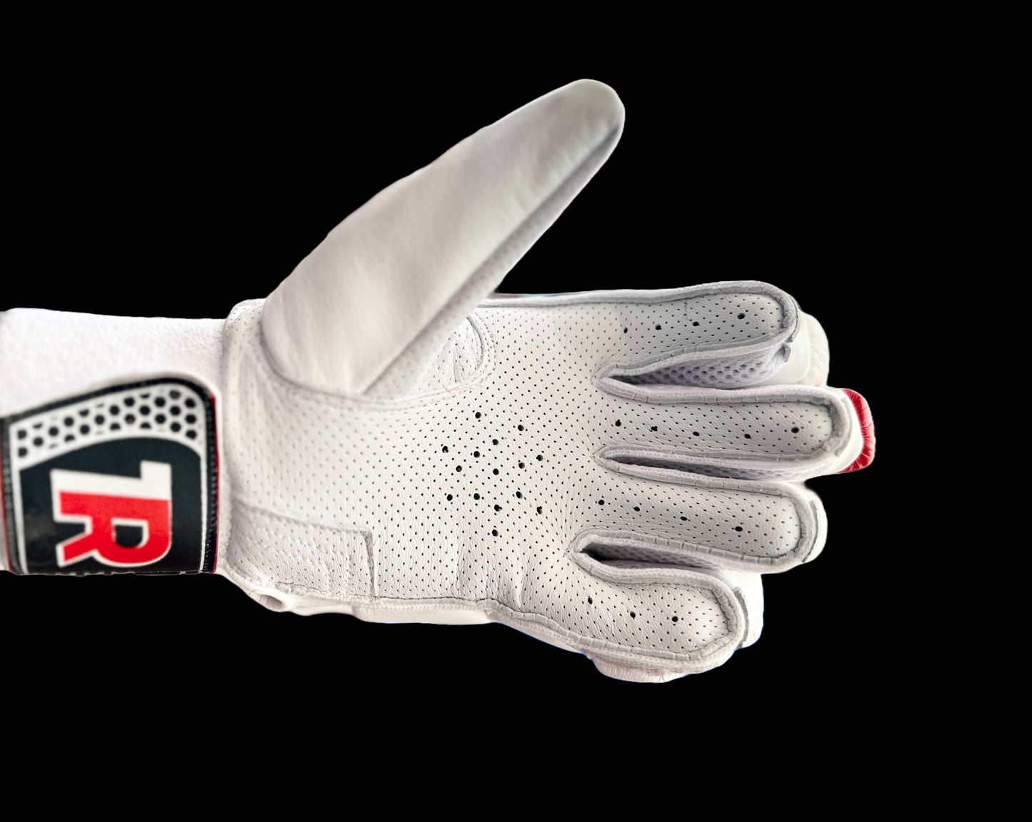 AREONE PLAYER EDITION CRICKET GLOVES