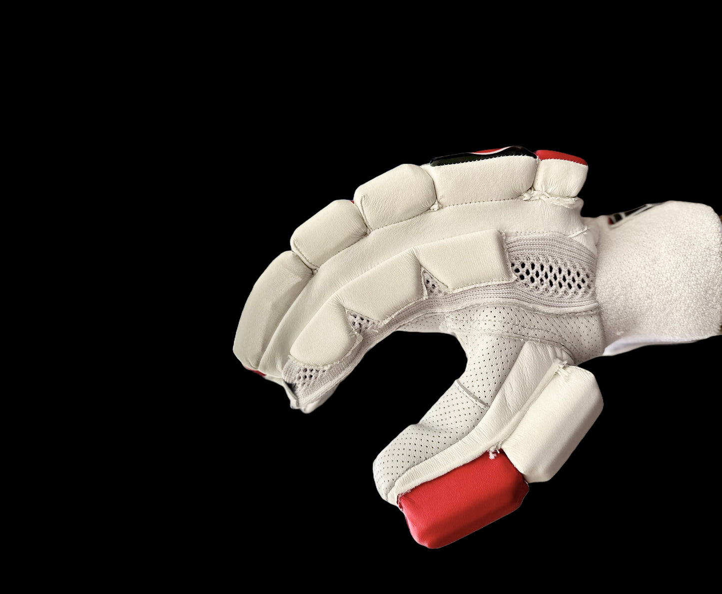 AREONE PLAYER EDITION CRICKET GLOVES